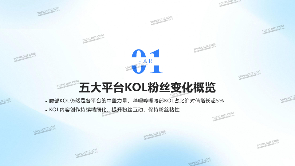 2025五大平台KOL粉丝分析研究报告:看得见的粉丝价值